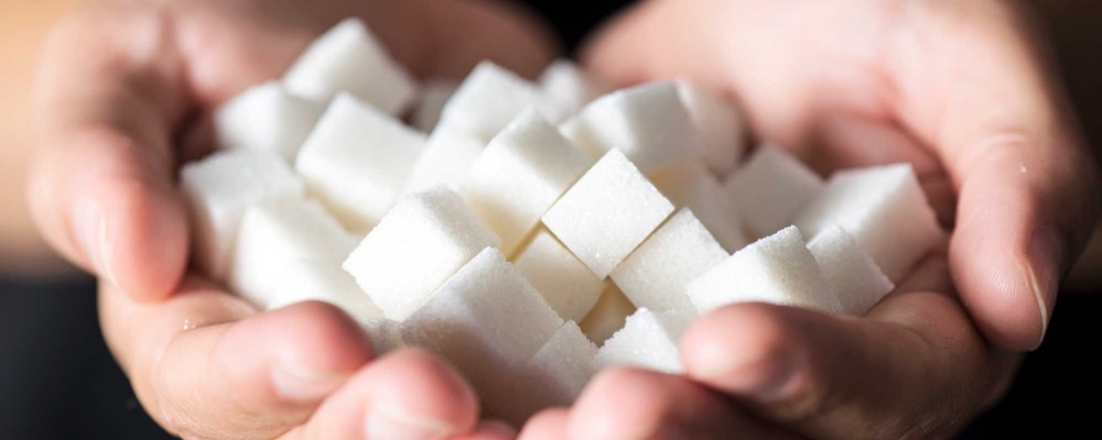 Hands holding out sugar cubes