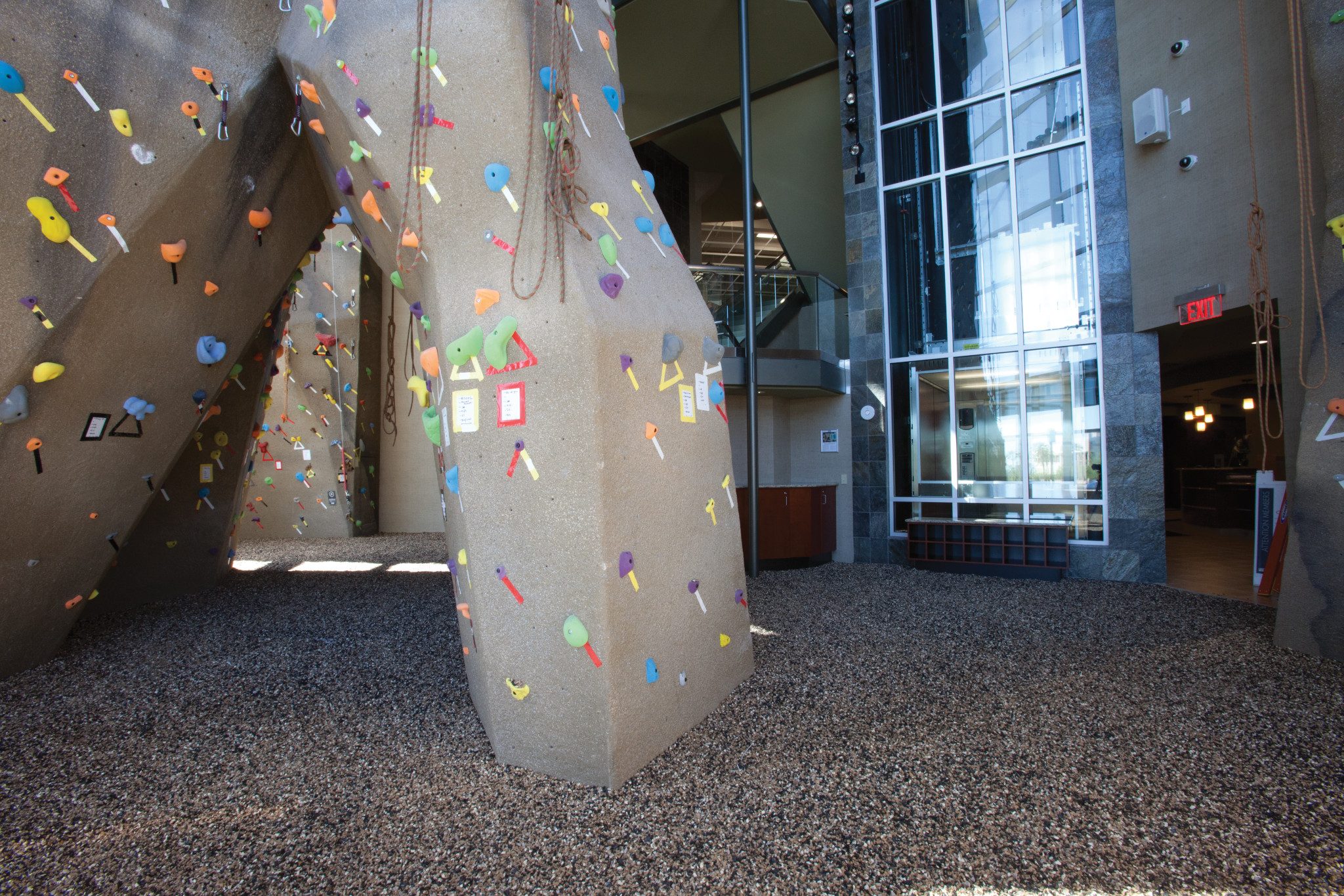 An indoor rockclimbing wall area at a Life Time club