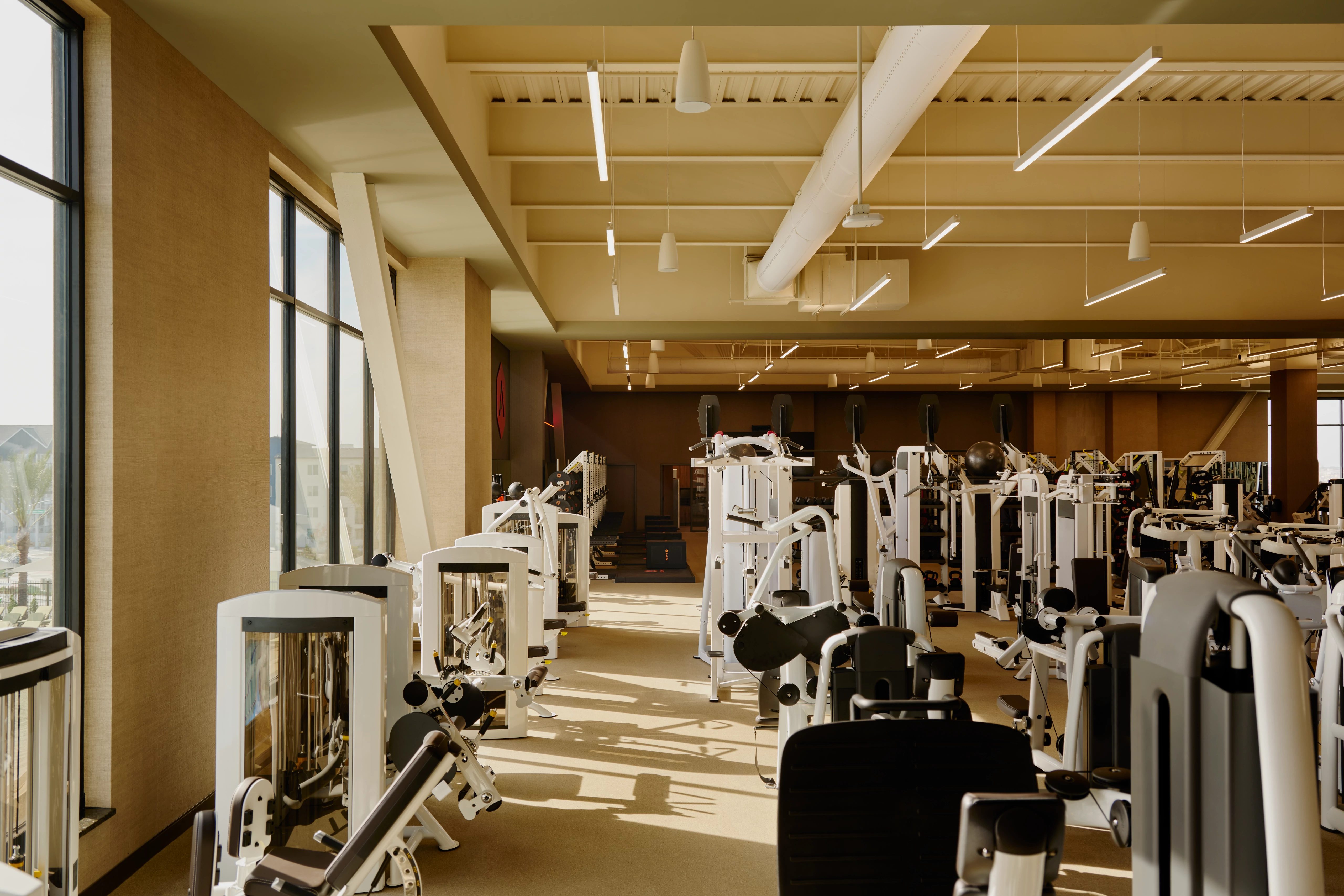 Free weight area with many weight lifting options at Life Time