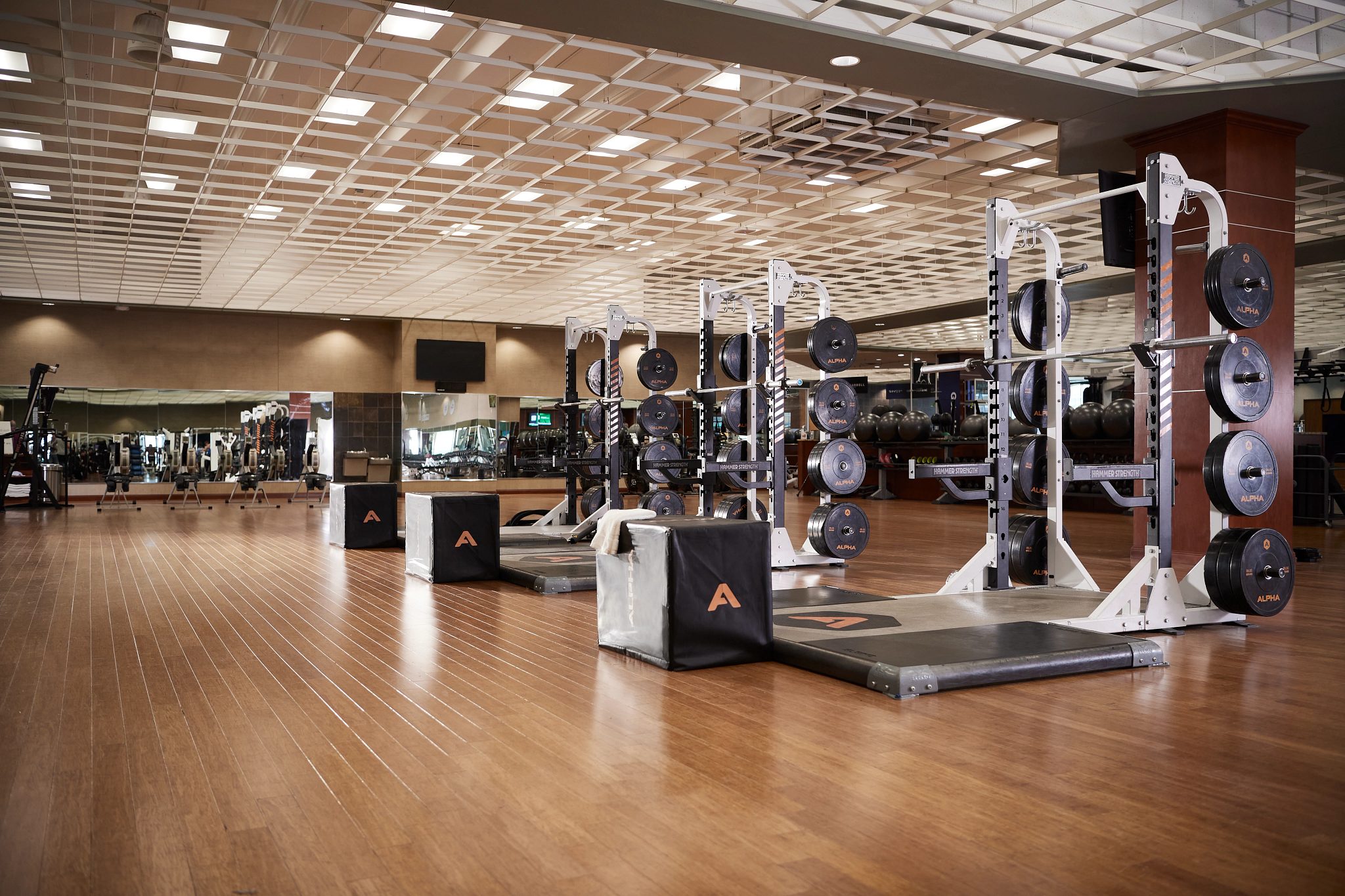 Squat racks and plyometric boxes at a finess center