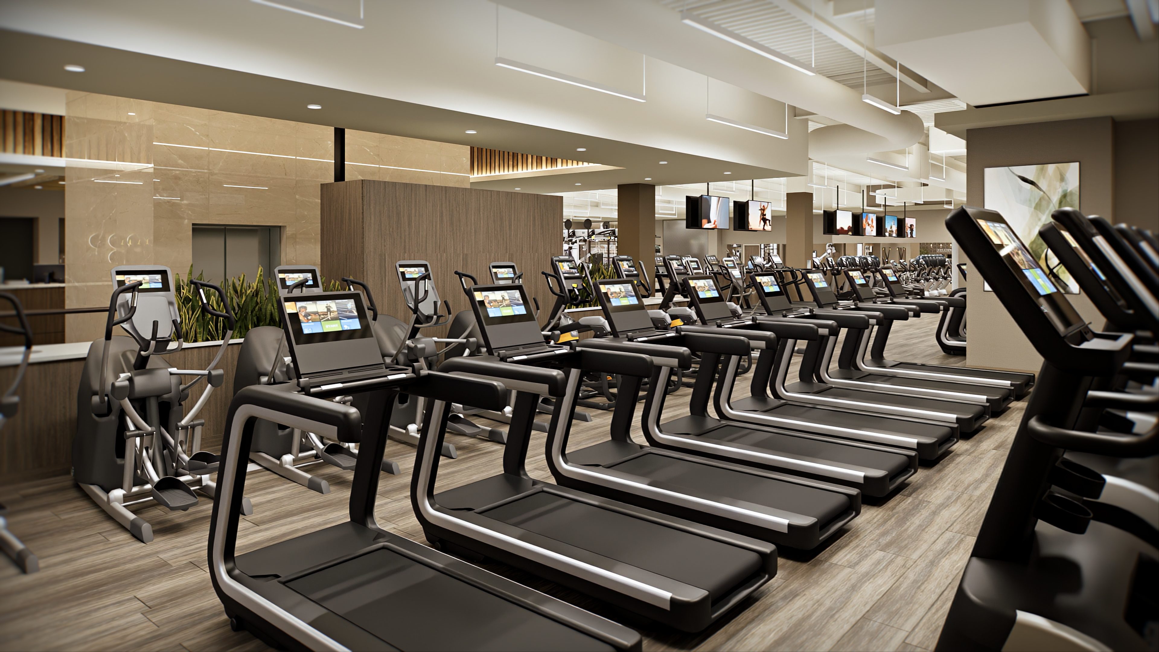 cardio at Life Time