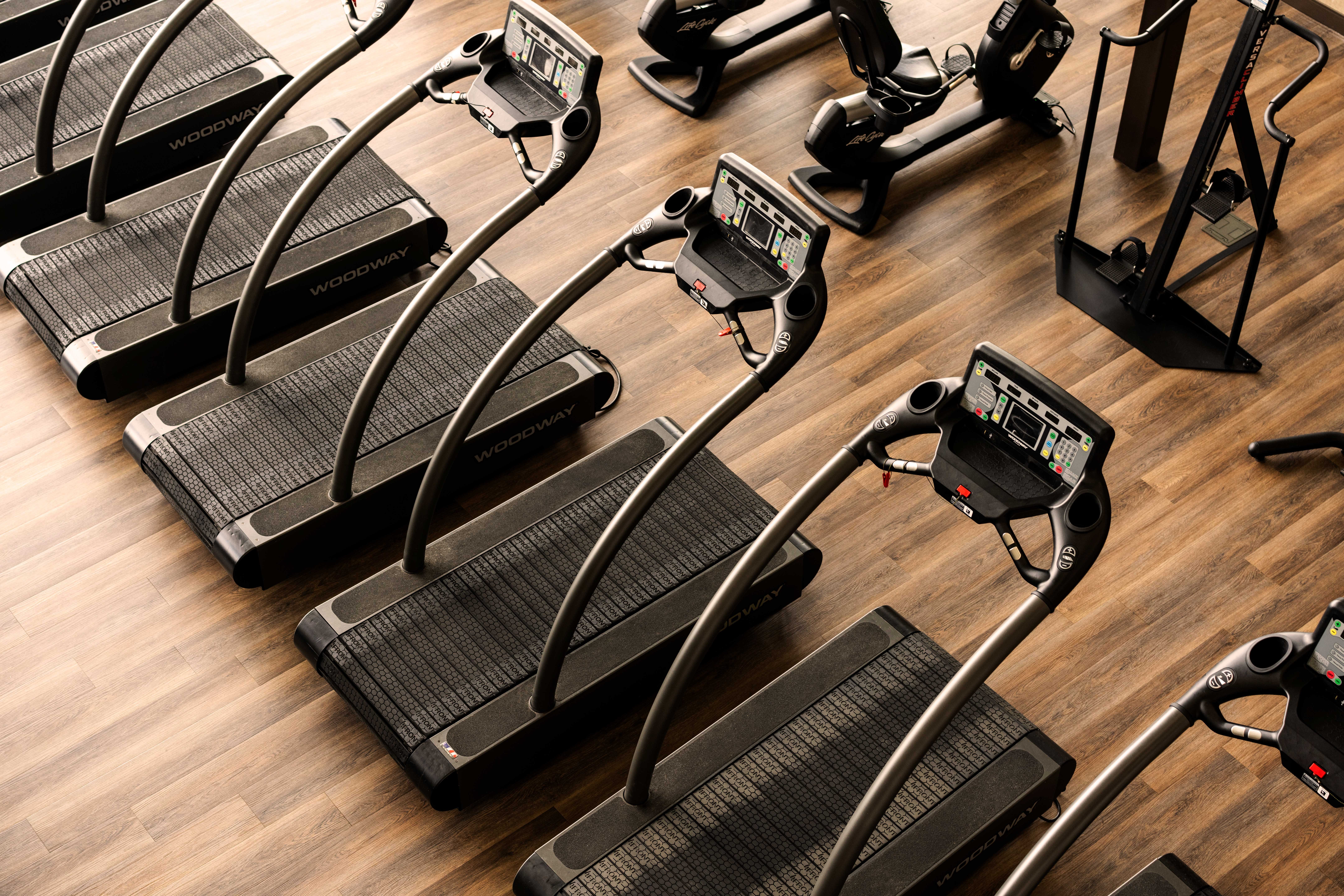line of treadmills on a workout floor