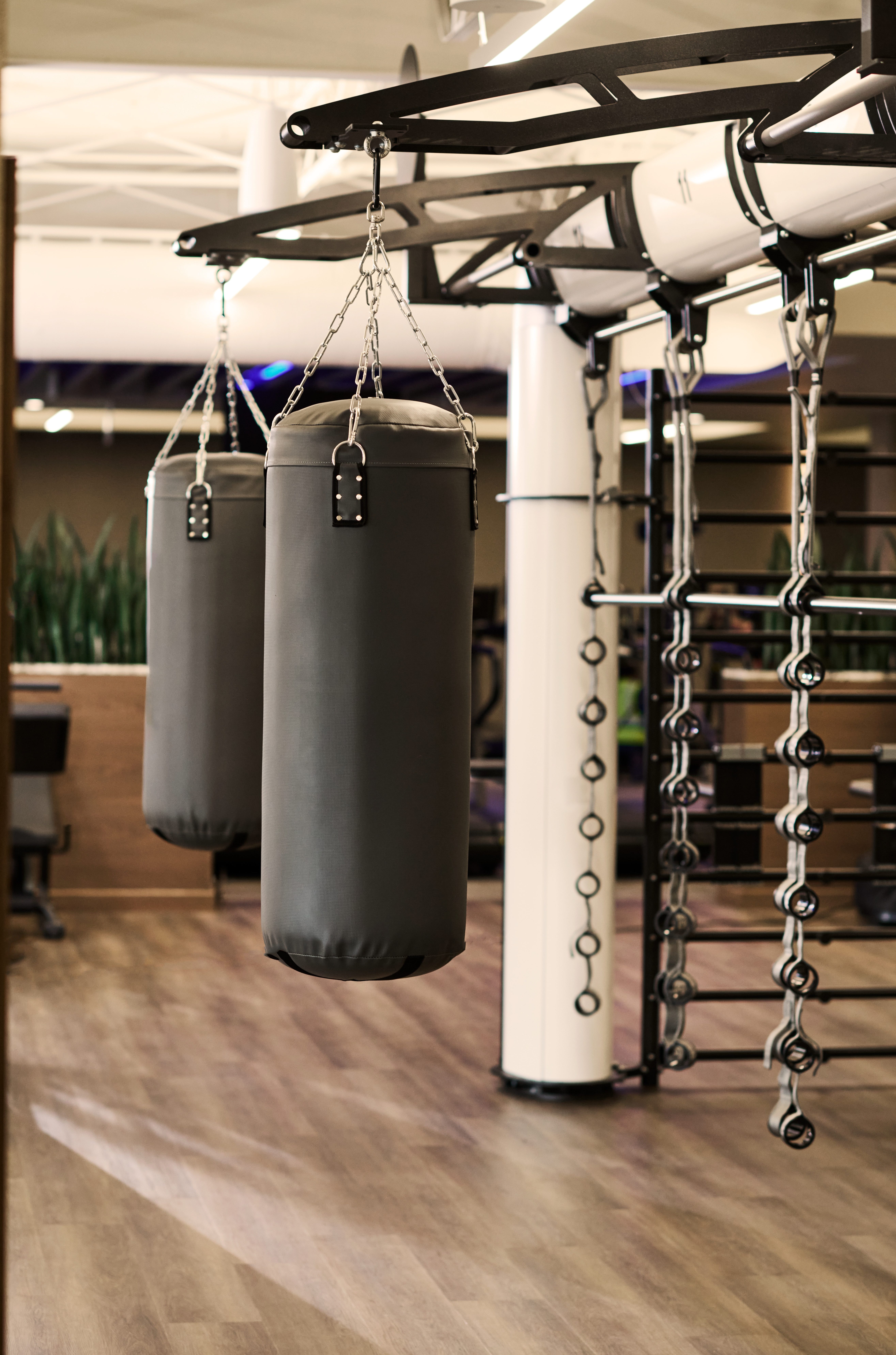 fitness floor at Life Time