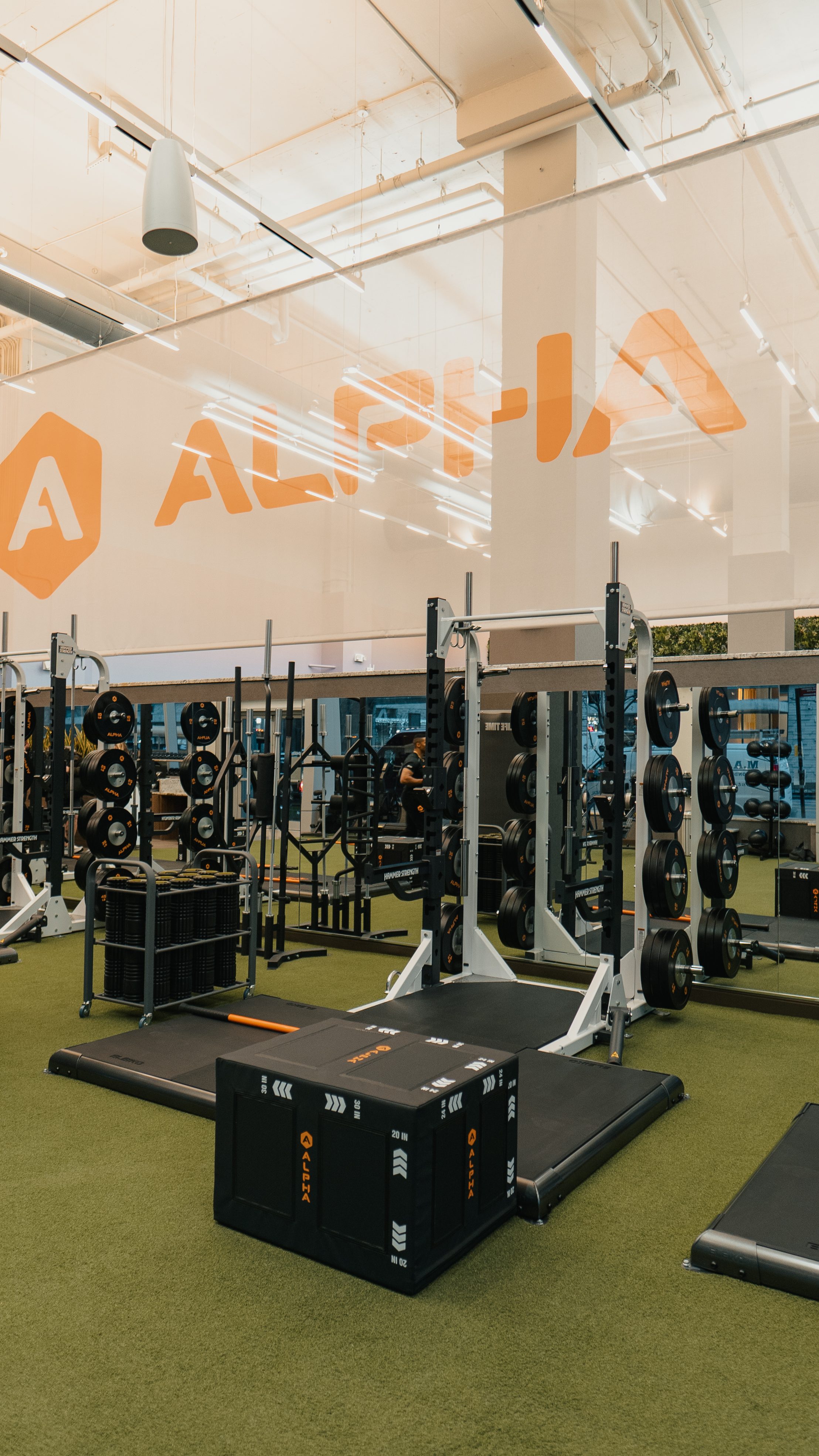 Alpha strength equipment on the fitness floor at Life Time