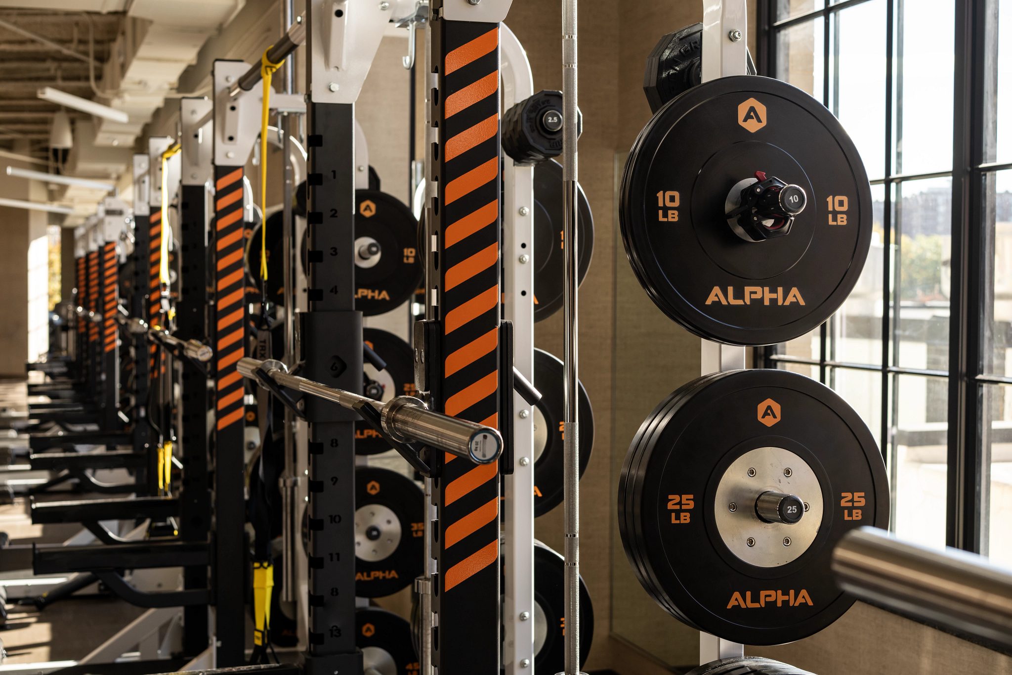 Alpha strength equipment on the fitness floor at Life Time