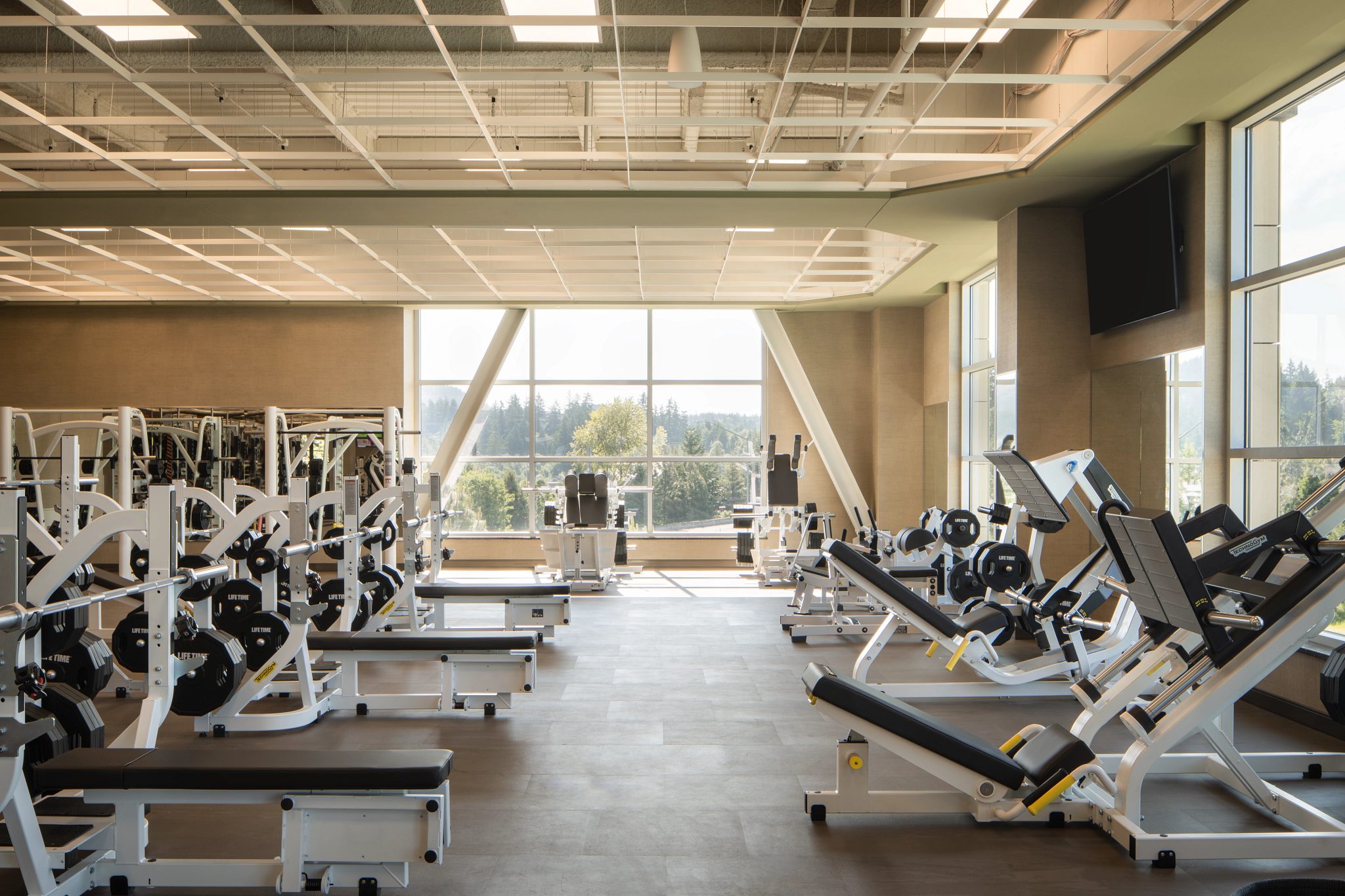 Free weights and strength training machines on the fitness floor at Life Time