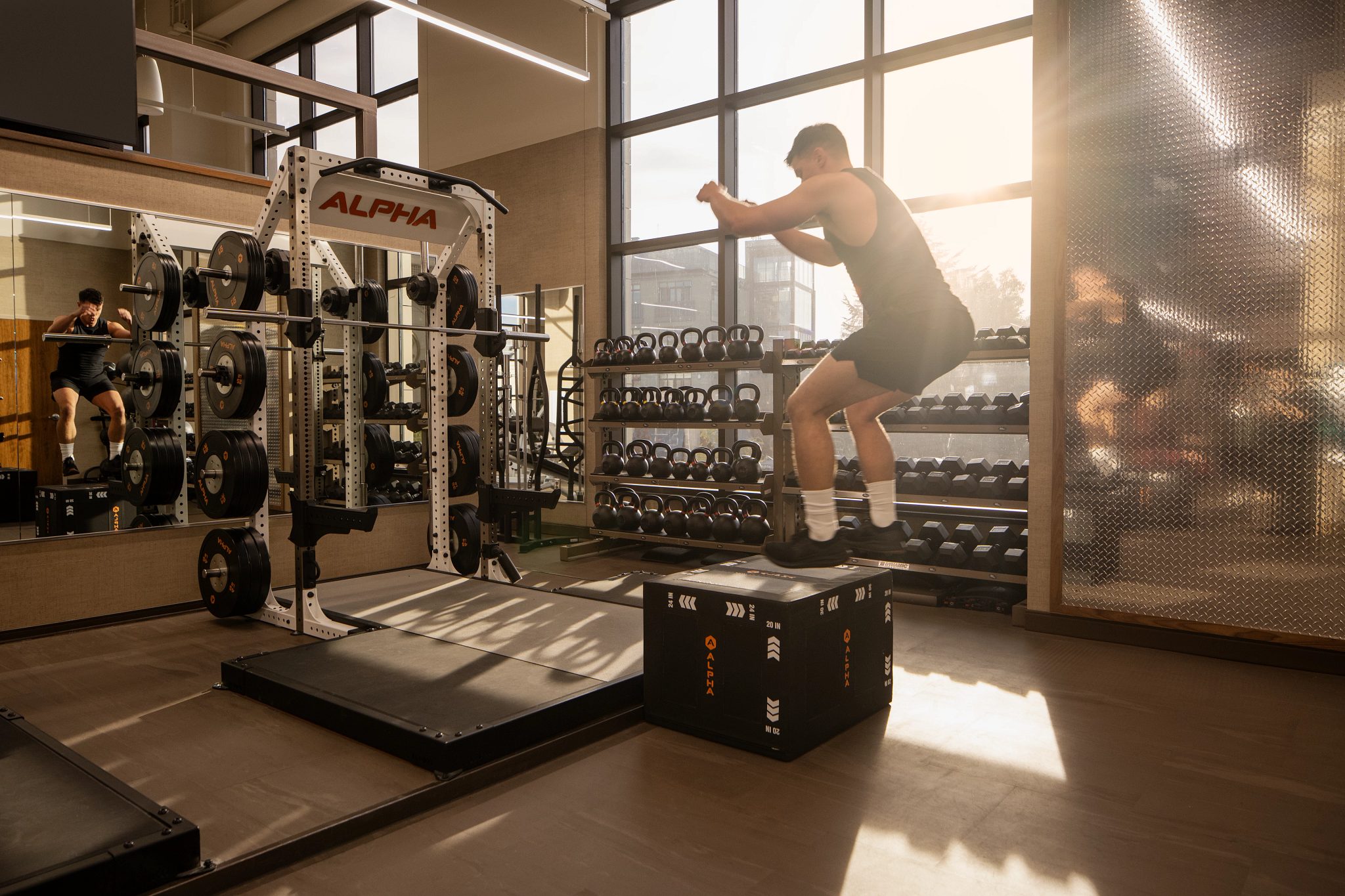 A member doing box jumps during an Alpha class