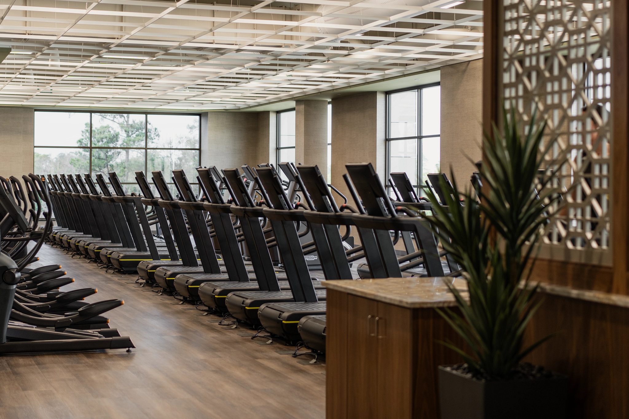 Row of treadmills on the fitness floor at Life Time