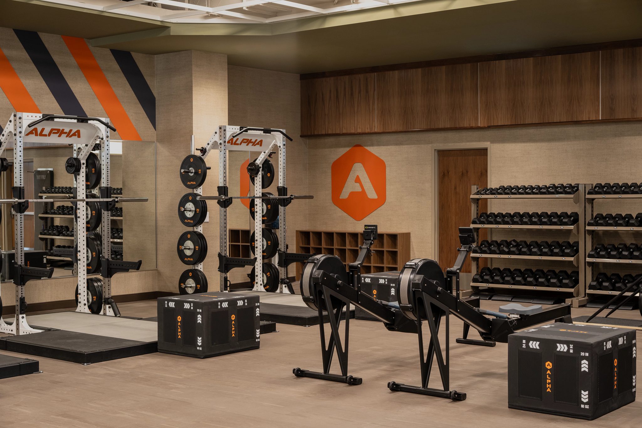 Alpha studio at Life Time