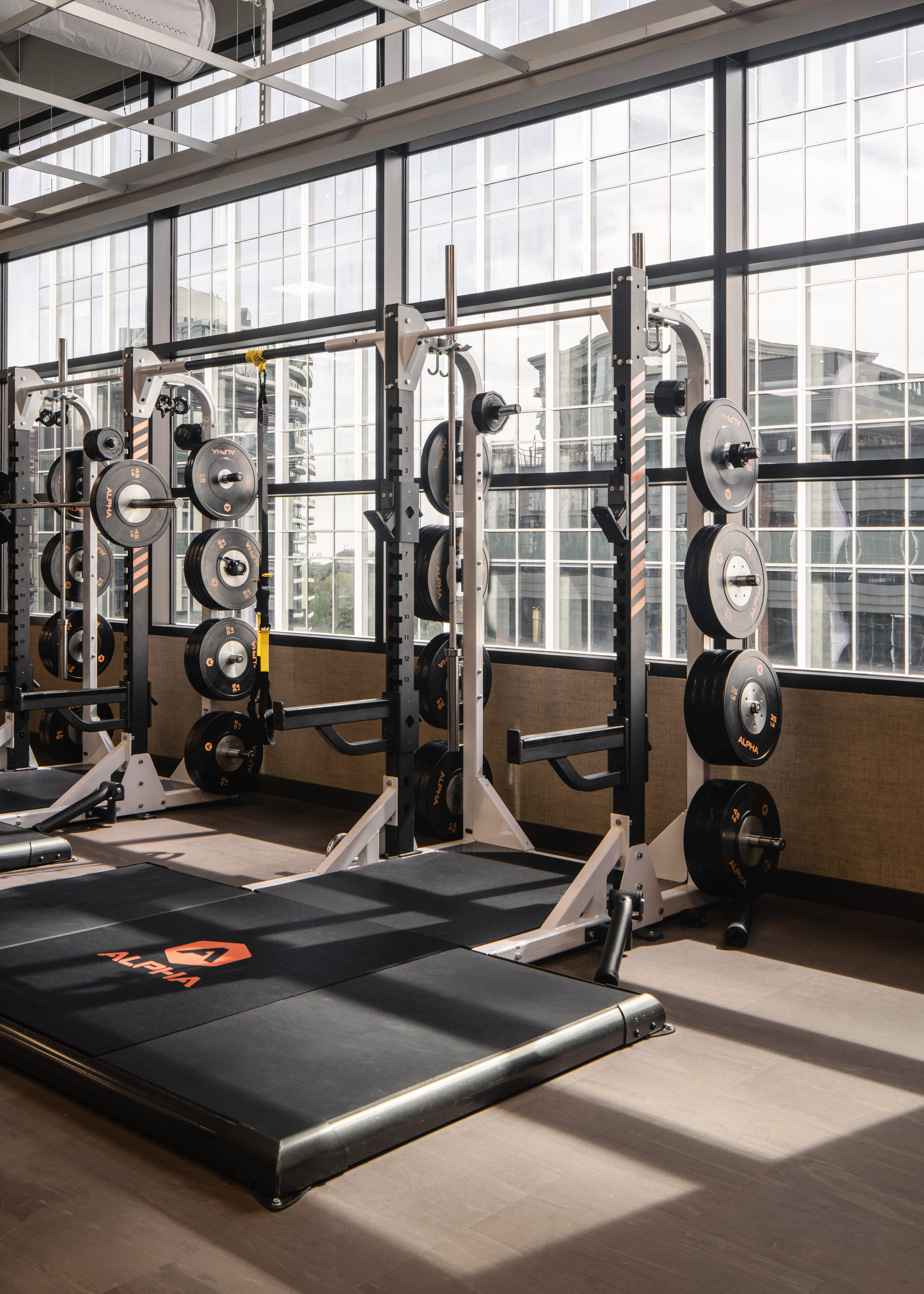 2 Alpha squat racks by a window
