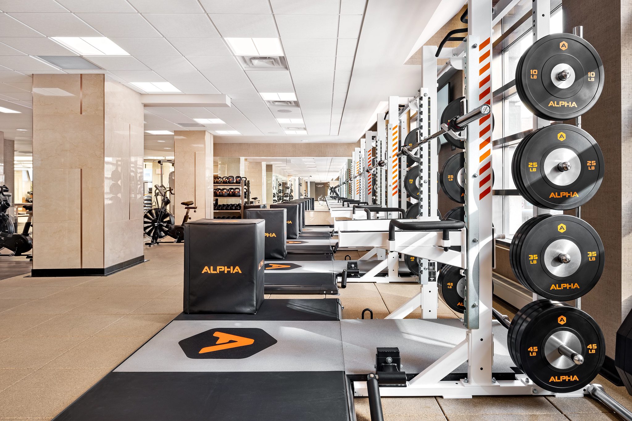 Alpha small group training area on the fitness floor