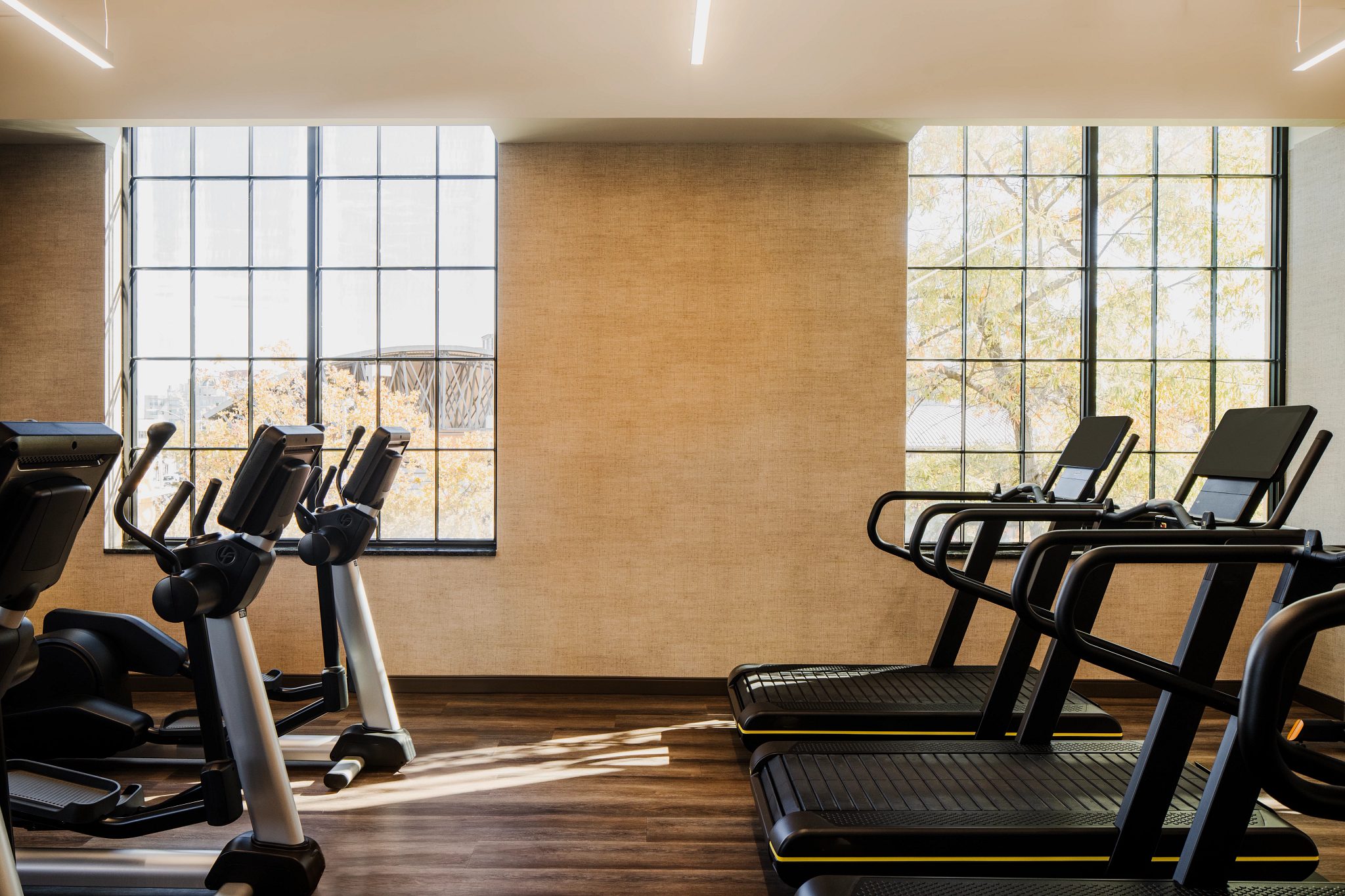 Cardio equipment on the fitness floor at Life Time