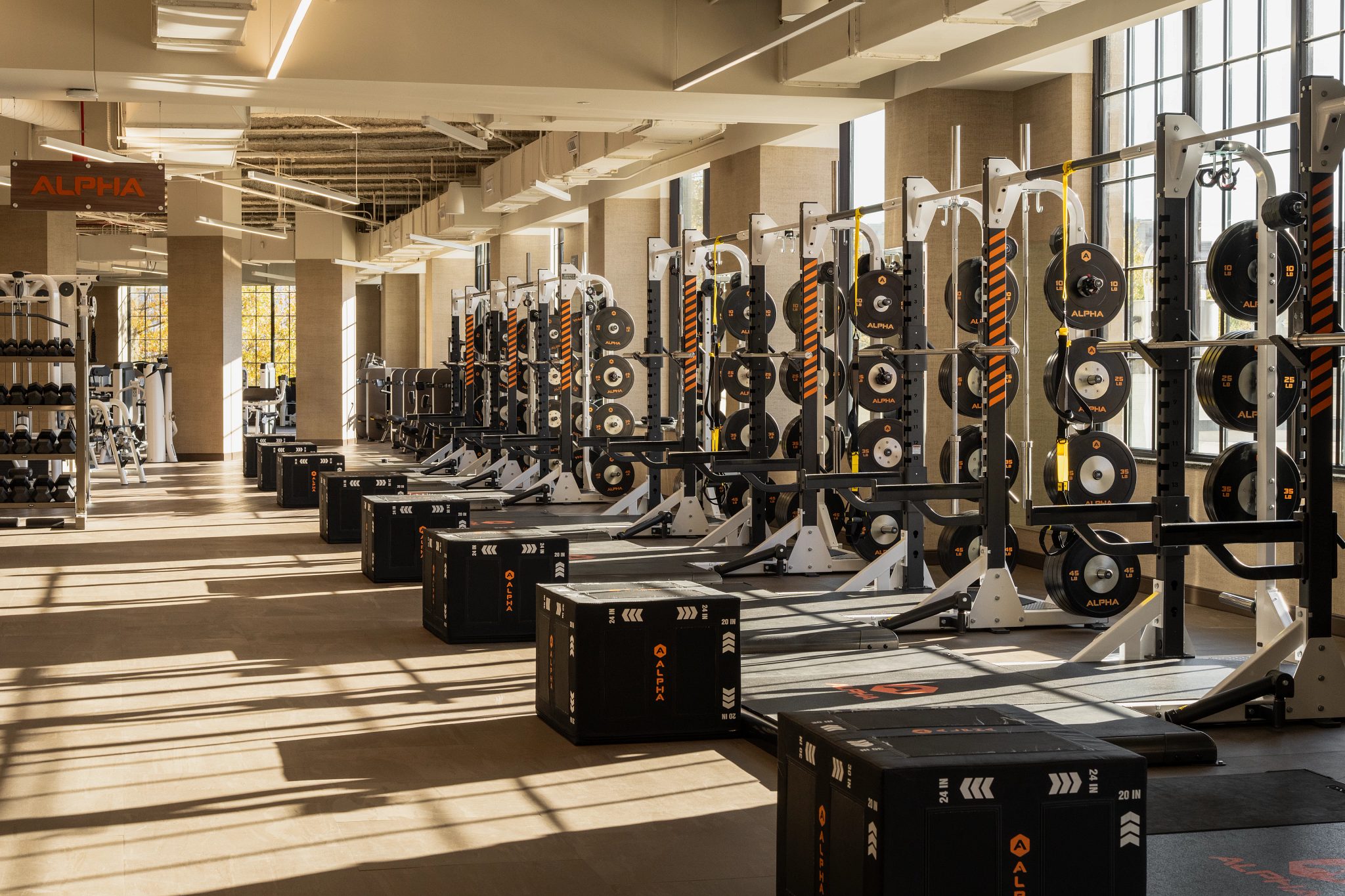 Alpha strength equipment on the fitness floor at Life Time