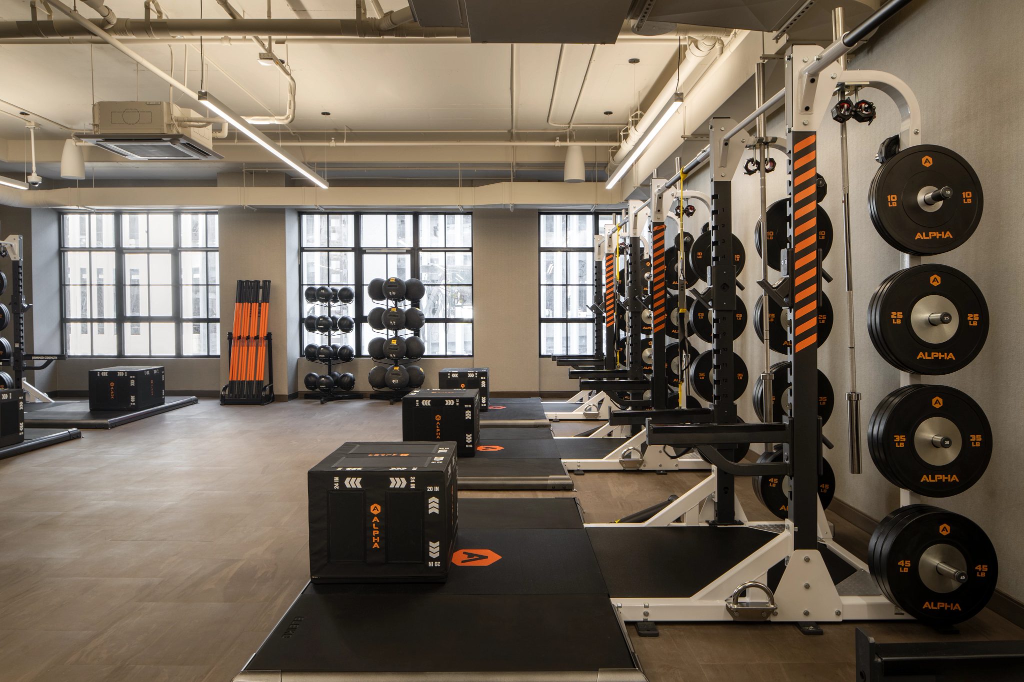 Alpha Studio filled with free weights at Life Time