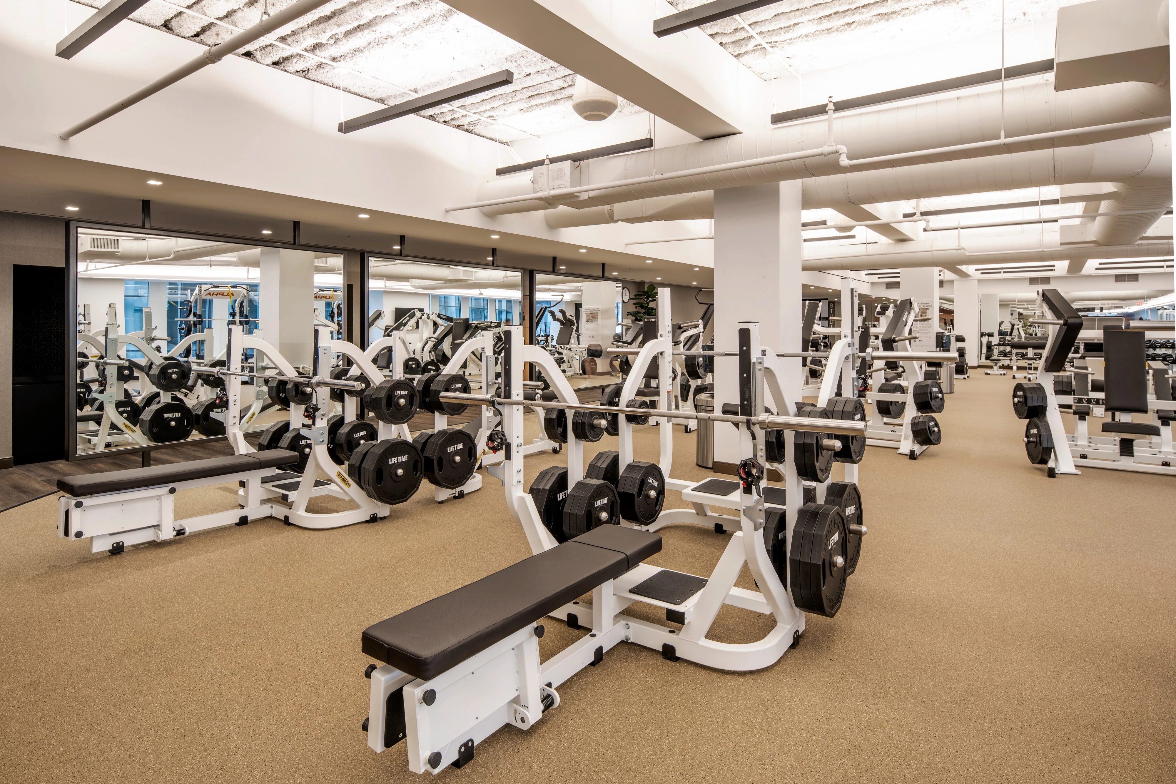 Strength equipment on the fitness floor at Life Time