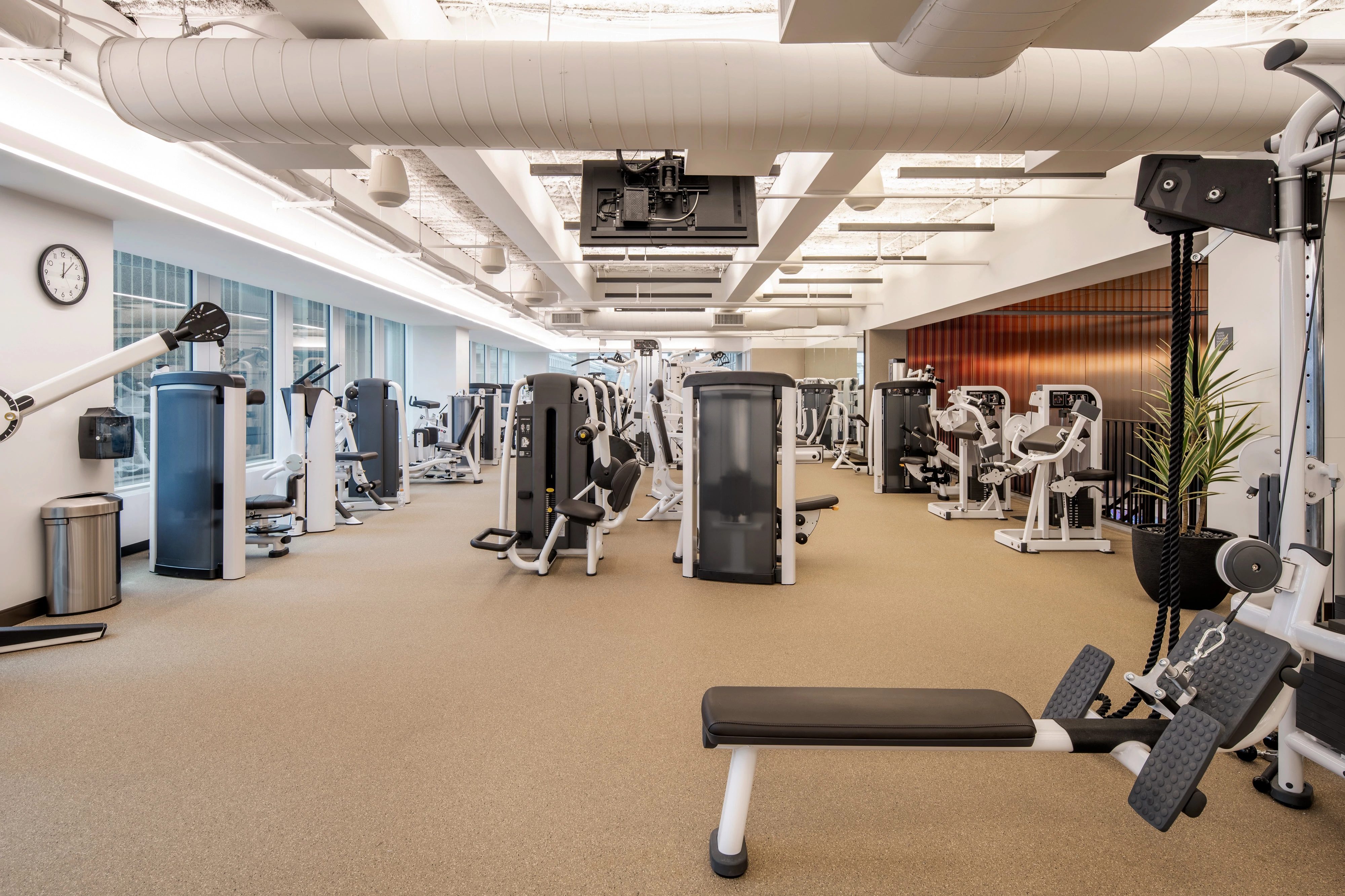 Strength equipment on the fitness floor at Life Time