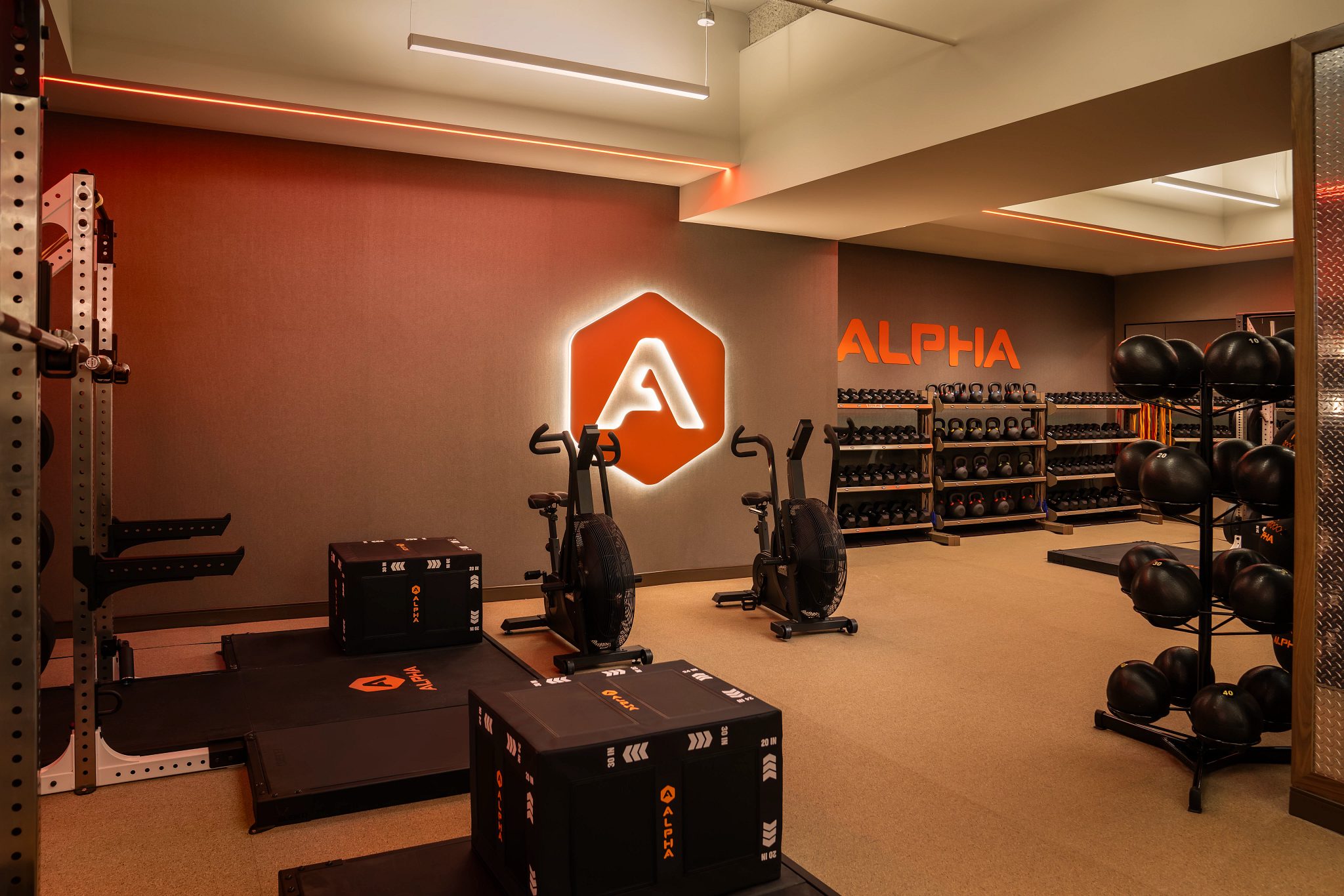 Alpha small group training area on the fitness floor
