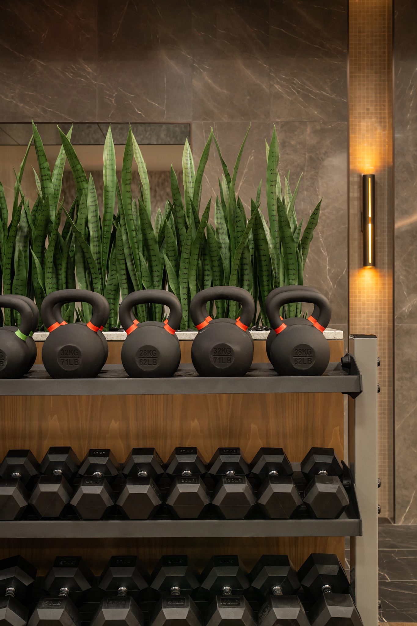 line of dumbbells on a rack