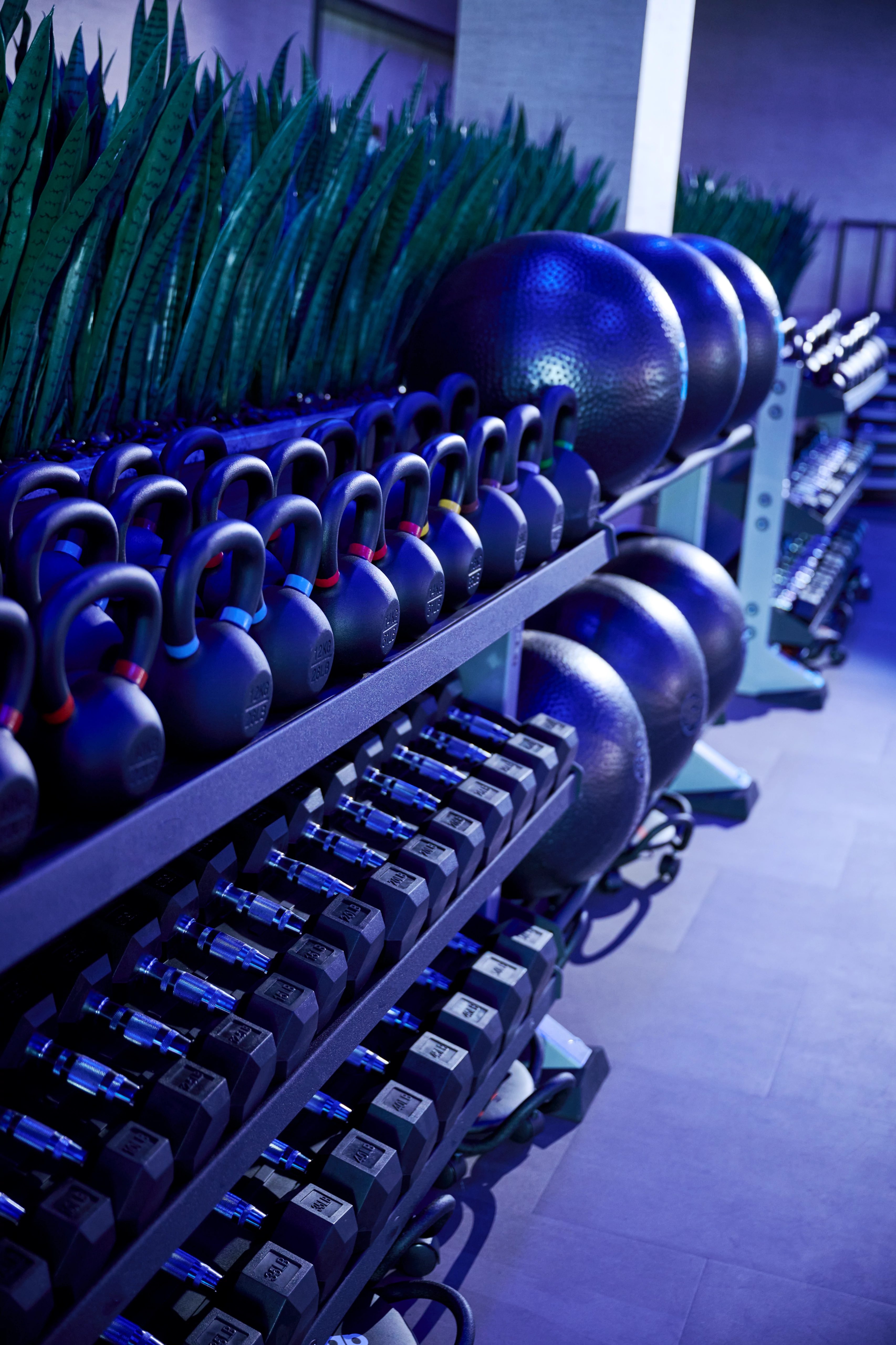 weight rack at Life Time