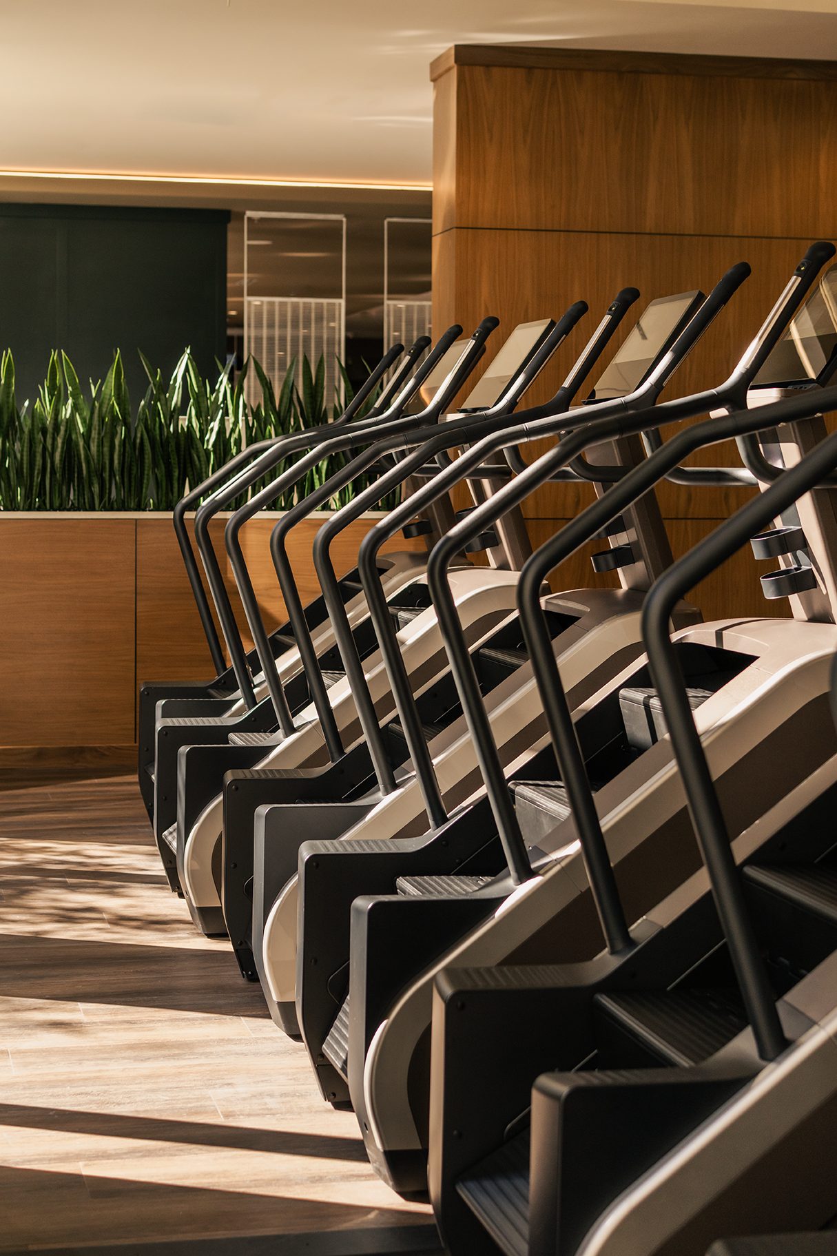 a row of ellipticals