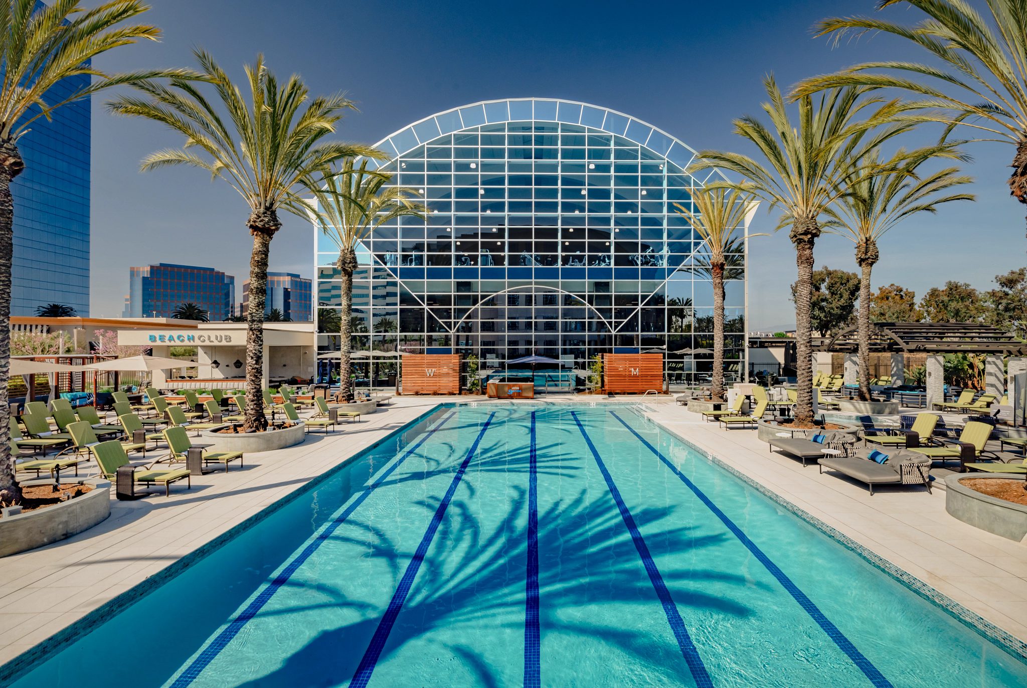 outdoor lap pool with palm trees