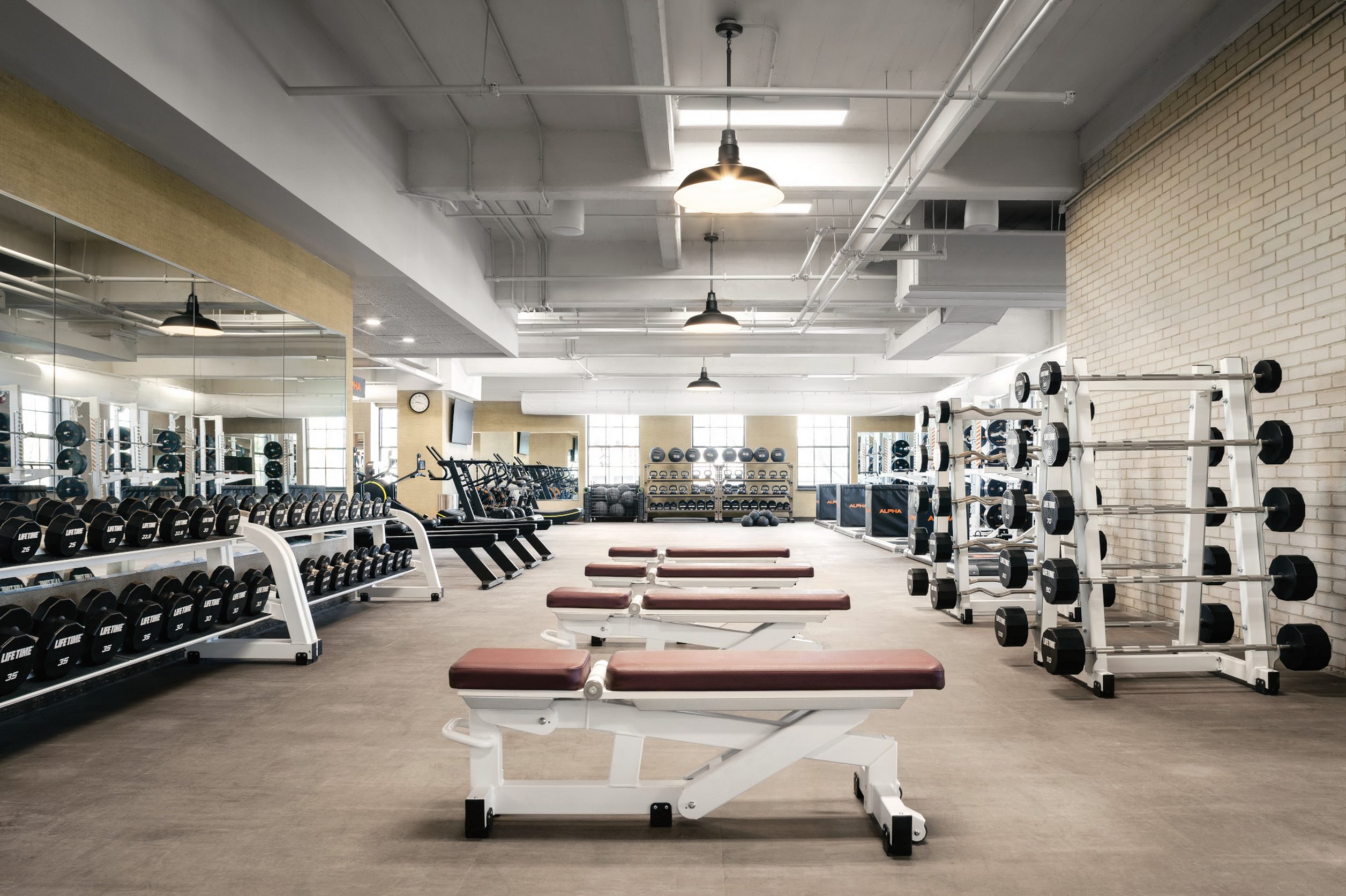 Free weight area with many weight lifting options at Life Time