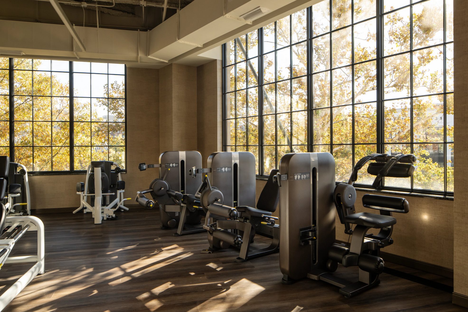 fitness floor at Life Time
