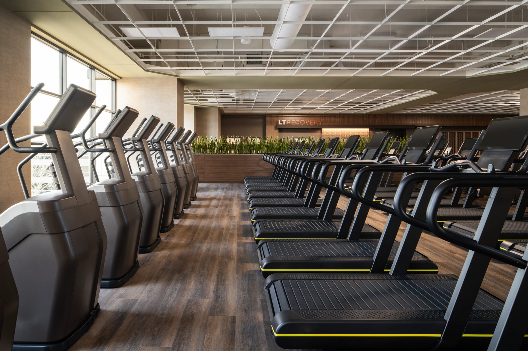 cardio at Life Time 