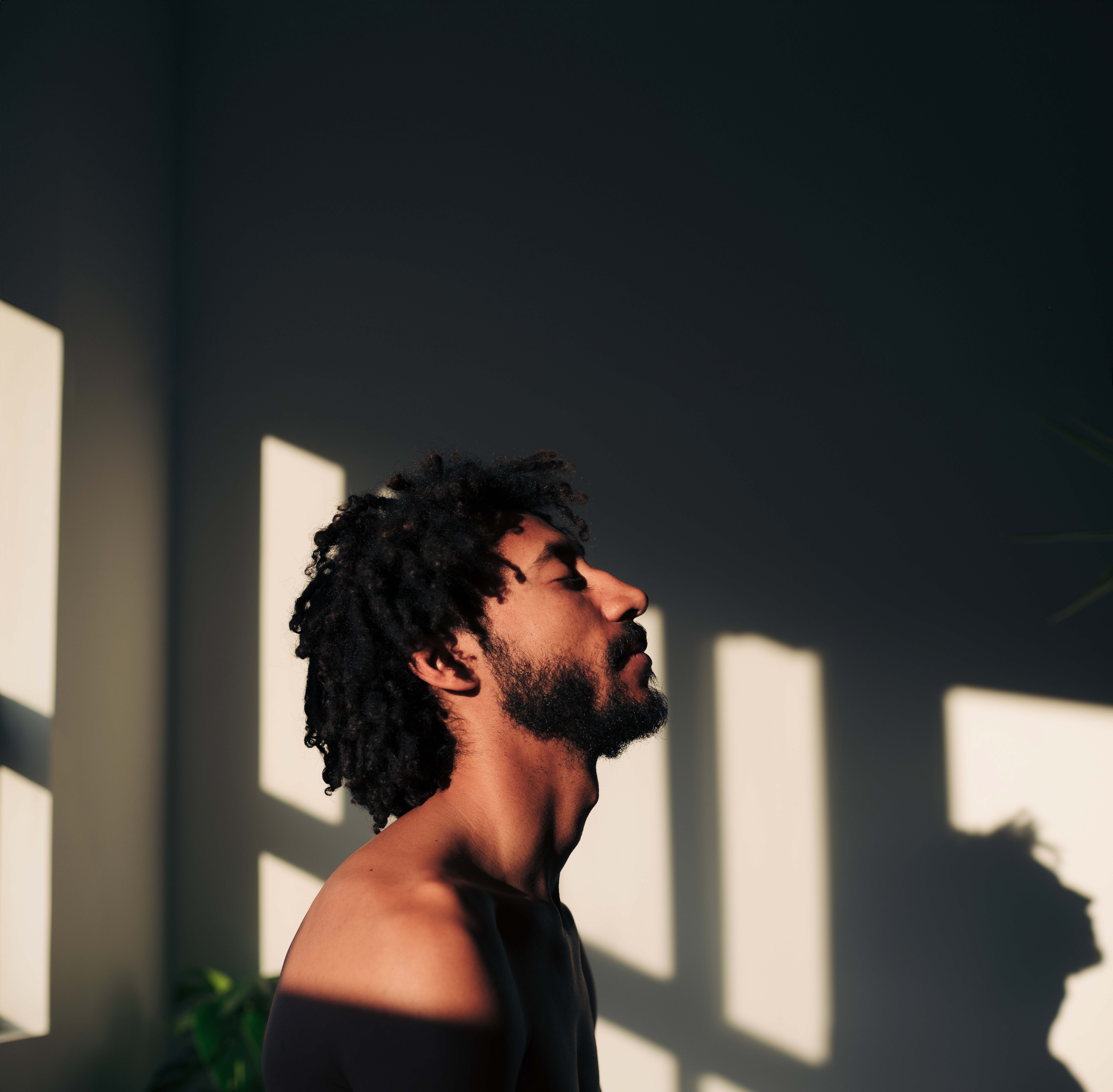 Side view portrait of an attractive multiracial man with a beard, lighted by the sunbeam.